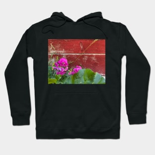 Sweet Pea Barn Hoodie